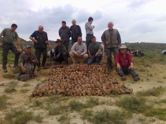 Grand groupe de chasseurs réunis autour du tableau de perdrix rouges, Montearagón