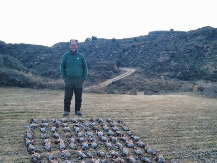 Chasseurs et chiens d'arrêt après une journée de chasse à la perdrix rouge
