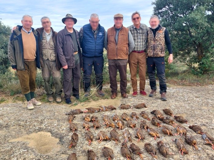 Tableau de perdrix rouges sauvages sur le domaine de chasse Montearagón